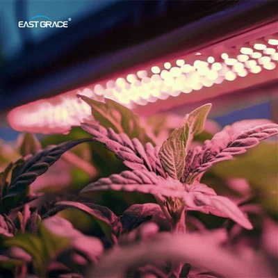 1,2m Η κατακόρυφη καλλιέργεια LED αυξάνεται φως